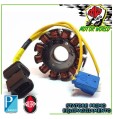 STATORE ROTORE KOKUSAN PRIMO EQUIP. PER PIAGGIO  X9 Evolution 200 2003