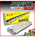 CATENA TRASMISSIONE DID 520 VX-3 X-RING COLORE ORO VX3 X-RING 120 MAGLIE