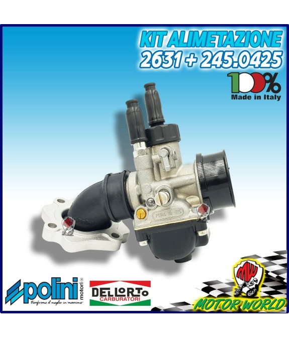 CARBURATORE PHBG 19 DELL'ORTO + COLLETTORE POLINI RIEJU RS SPORT NKD 50 LC
