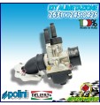 CARBURATORE PHBG 19 DELL'ORTO + COLLETTORE POLINI RIEJU RS SPORT NKD 50 LC