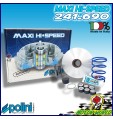 241.690 VARIATORE POLINI KYMCO PEOPLE 125 150 VIVIO 125 150 ARIA
