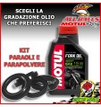 KIT REVISIONE FORCELLA PARAOLI PARAPOLVERE OLIO Yamaha YZF-R1 edition 2006