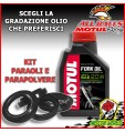 KIT REVISIONE FORCELLA PARAOLI PARAPOLVERE OLIO Yamaha YZF-R1 edition 2006