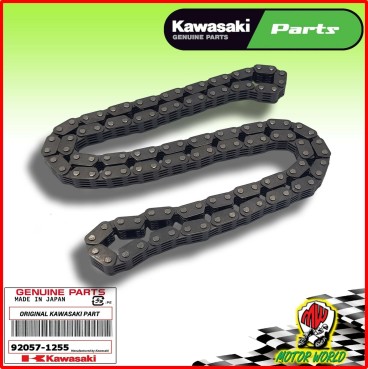 CATENA DI DISTRIBUZIONE ORIGINALE KAWASAKI 1200 ZZR 2002 2003 2004 2005