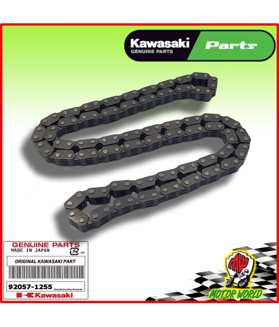 CATENA DI DISTRIBUZIONE ORIGINALE KAWASAKI 1200 ZZR 2002 2003 2004 2005