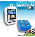 360.0003 SET 10 GETTI DELLORTO 5 MM. DAL 60 AL 78 (INCREM.2)