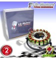 Statore generatore Generator stator Honda CBR 900 RR 1992 1993