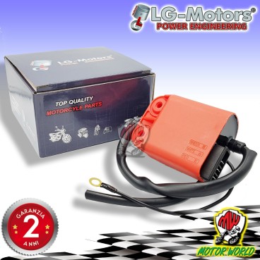 BOBINA ACCENSIONE CENTRALINA PIAGGIO Zip SP 50 1996 1997 1998 1999 2000