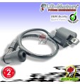 1869893 BOBINA ALTA TENSIONE YAMAHA YFM R Raptor 660 2001 2002 2003 2004 2005