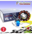 STATORE ALTERNATORE ROTORE PIAGGIO TYPHOON 4T 2V E3 125 2010 2011