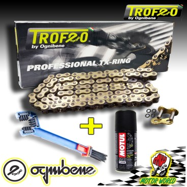 CATENA TROFEO ORO X-RING 530 TRX 120 DUCATI