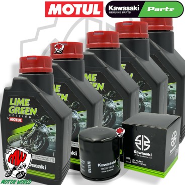 TAGLIANDO OLIO  MOTUL LIME GREEN 10W40 FILTRI KAWASAKI GTR 1400 2014 2015 2016
