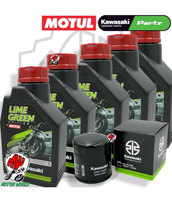 TAGLIANDO OLIO  MOTUL LIME GREEN 10W40 FILTRI KAWASAKI GTR 1400 2014 2015 2016