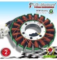 STATORE VOLANO ROTORE ALTERNATORE YAMAHA YZF R6 600 2011 2012 2013 2014 2015
