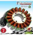 STATORE ACCENSIONE MAGNETE HONDA CBR RR Fireblade 1000 2006 2007