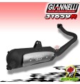 31659R NUOVA MARMITTA GO ORIGINALE GIANNELLI PER PIAGGIO ZIP FR 1995-2001