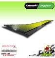 EMBLEMA CUPOLINO CARENA FIANCHETTO DESTRO DESTRA GENUINE KAWASAKI Z 650 2019