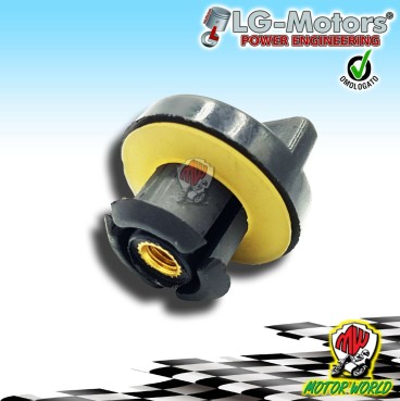 VITE FISSAGGIO COPERCHIO CASSA FILTRO ARIA SUPERIORE MOTOSEGA DA 25 CC 2500
