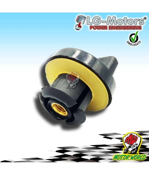 VITE FISSAGGIO COPERCHIO CASSA FILTRO ARIA SUPERIORE MOTOSEGA DA 25 CC 2500