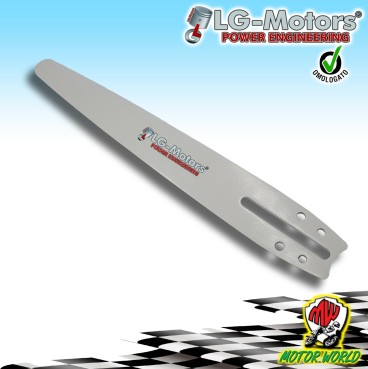 CATENA 1/4'' CARVING 10'' 60 MAGLIE PER BARRA MOTOSEGA 25 2500 POTATURA CINESE