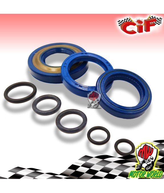 KIT REVISIONE ALBERO MOTORE PARAOLIO ORING VESPA PK S XL RUSH N FL APE TM RST