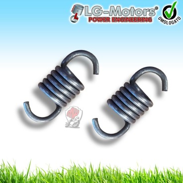 MOLLE PER FRIZIONE RICAMBIO ORIGINALE PER MOTOSEGA CS25 2 PEZZI