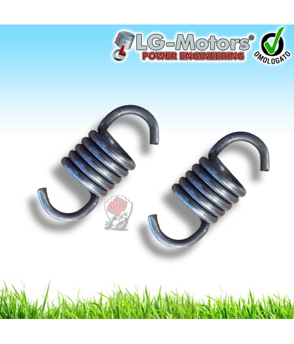 MOLLE PER FRIZIONE RICAMBIO ORIGINALE PER MOTOSEGA CS25 2 PEZZI