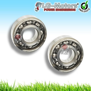 KIT 2 CUSCINETTI DI BANCO PER SCUOTITORI MISURE 35 X 11 X 15