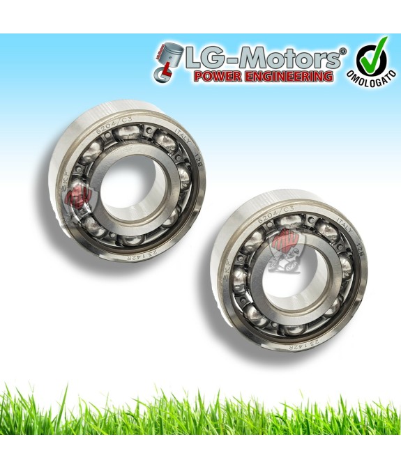 KIT 2 CUSCINETTI DI BANCO PER SCUOTITORI MISURE 35 X 11 X 15
