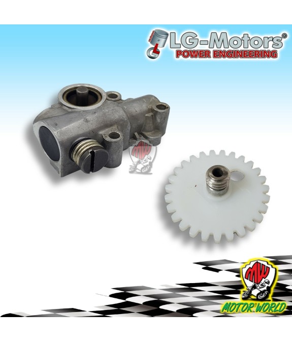 KIT POMPA OLIO PIU' INGRANAGGIO MOTOSEGA STIHL MS038 / 0381