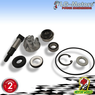 KIT REVISIONE POMPA ACQUA ETRE HONDA FORZA SH 300 DAL 2007 AL 2019