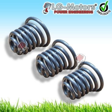 KIT 3 MOLLE ANTIVIBRANTI SUPPORTO MOTORE MOTOSEGA 45 52 55 58 CC CINESE