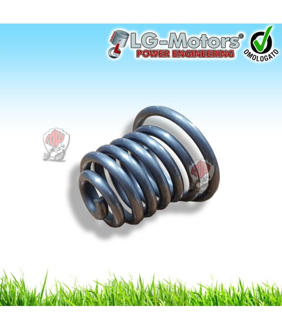 MOLLA SUPPORTO MOTORE ANTIVIBRANTE SILENT MOTOSEGA 45 52 55 58 CC CINESE