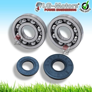 KIT 2 PARAOLI BANCO FRIZIONE E VOLANO + CUSCINETTI MOTOSEGA 52 45 GRANDE  CINESE