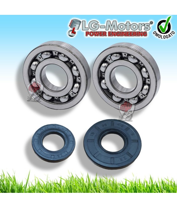 KIT 2 PARAOLI BANCO FRIZIONE E VOLANO + CUSCINETTI MOTOSEGA 52 45 GRANDE  CINESE