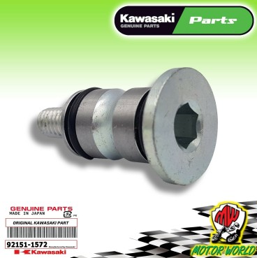 VITE PERNO PEDALE FRENO POSTERIORE KAWASAKI KX 250 2000 2001 2002 2003 2004