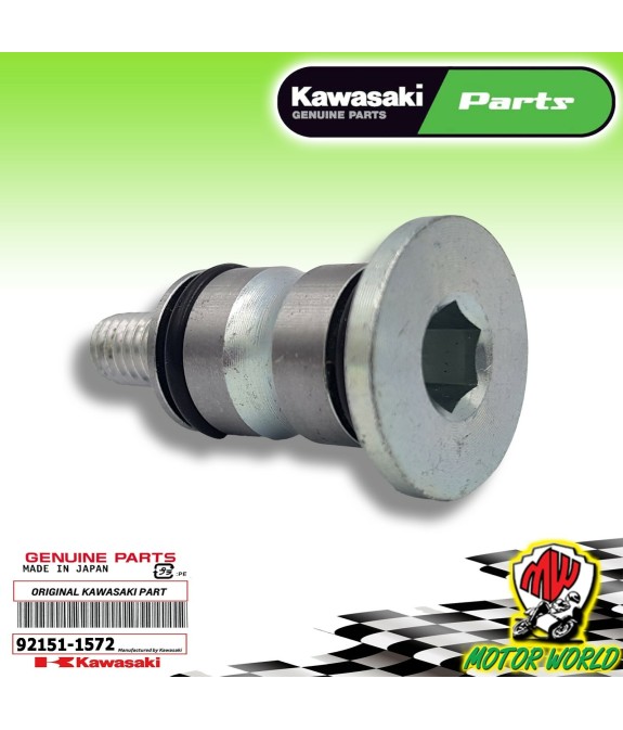 VITE PERNO PEDALE FRENO POSTERIORE KAWASAKI KX 250 2000 2001 2002 2003 2004
