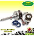 KIT ALBERO MOTORE TOP PERFORMANCE CON CUSCINETTI APRILIA AREA 51