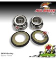 KIT CUSCINETTI DI STERZO ALL BALLS YAMAHA XV ROAD STAR 1700 WARRIOR 2010