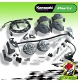 KIT Fari Faretti Antinebbia Originale Kawasaki Versys 1000 2019 2020 2021
