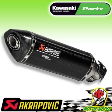 Terminale Scarico Akrapovic in Carbonio Kawasaki Ninja 1000 SX 2019 2020 2021