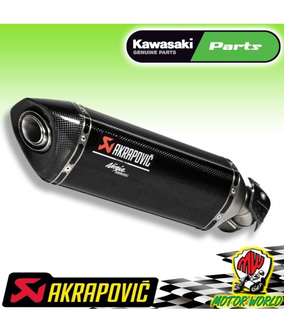 Terminale Scarico Akrapovic in Carbonio Kawasaki Ninja 1000 SX 2019 2020 2021