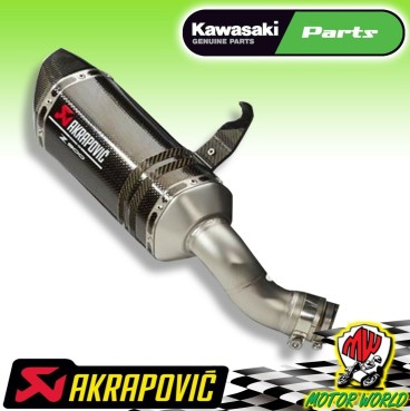 Terminale Scarico Akrapovic in Carbonio Kawasaki Z900 2016 2017 2018 2019