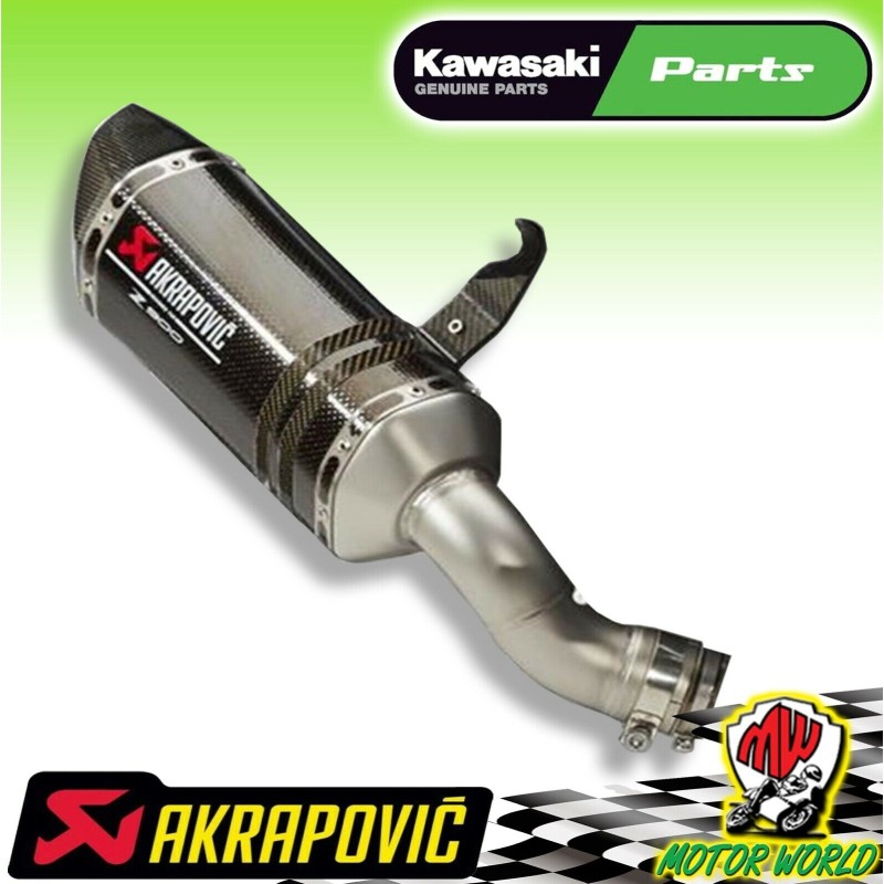 Terminale Scarico Akrapovic in Carbonio Kawasaki Z900 2016 2017 2018 2019