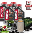 TAGLIANDO 4L MOTUL 7100 10W60 + FILTRI HIFLO HONDA CB 600 S HORNET 2002