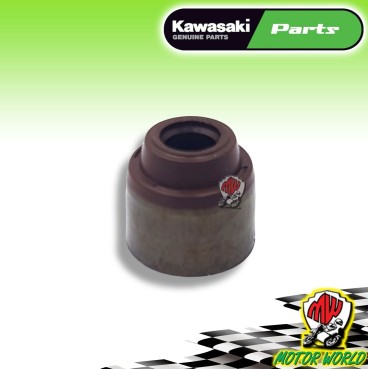 PARAOLIO ASTUCCIO CAPPUCCIO VALVOLE KAWASAKI NINJA ZX-10R 1000 2019 2020