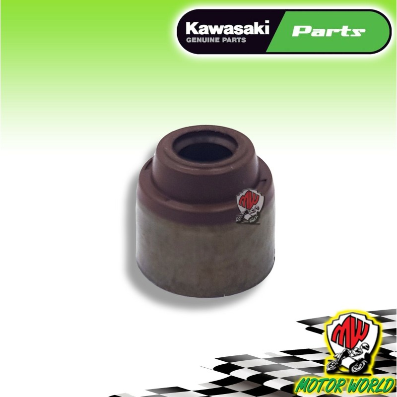 PARAOLIO ASTUCCIO CAPPUCCIO VALVOLE KAWASAKI NINJA ZX-10R 1000 2019 2020