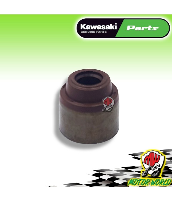 PARAOLIO ASTUCCIO CAPPUCCIO VALVOLE KAWASAKI NINJA ZX-10R 1000 2019 2020