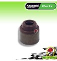 PARAOLIO ASTUCCIO CAPPUCCIO VALVOLE KAWASAKI NINJA ZX-10R 1000 2019 2020