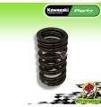 MOLLA VALVOLA ASPIRAZIONE ORIGINALE KAWASAKI KX 250 F 2016 2017 2018 2019